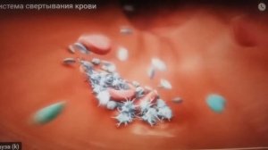 свертываемость