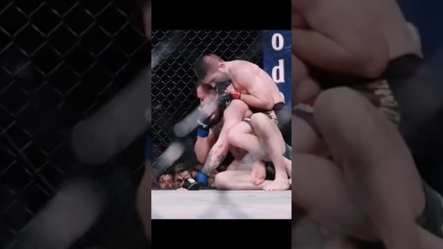 Лучшие бойцы UFC смотреть онлайн