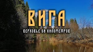 Верховье реки Вига. 60 километров в апреле 2024 года