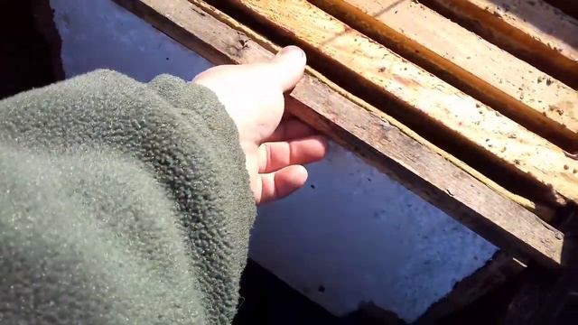 Даём пчелкам  подкормку 9.02.2020 г