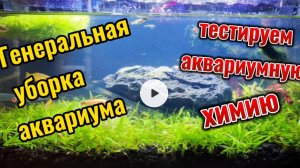 Секреты кристально чистого аквариума
