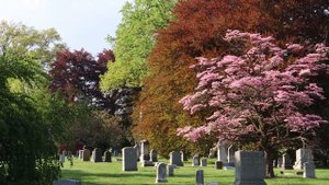 Canon M50, 15-45 mm, 18-150 mm lens, 4K video