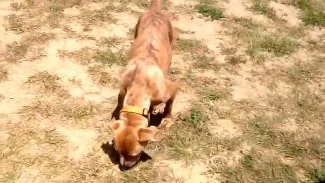 Gina 2014 смотреть онлайн