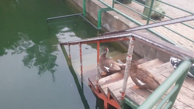 Парк Олимп смотреть онлайн