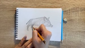 Как нарисовать кабана карандашом | Рисунок для начинающих поэтапно