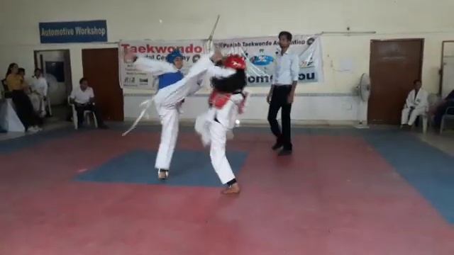 Sparring fight progress 27th Punjab State Taekwondo Championship Mohali India |Satpal Rehal| смотреть онлайн