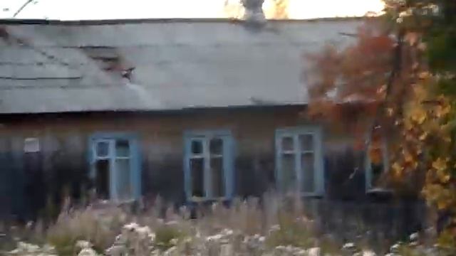 Красная осень. Тучи мошки - конец света. Autumn, beautiful. Close to nature. смотреть онлайн