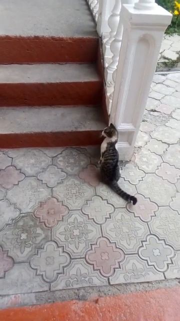 Муся💛Луи смотреть онлайн