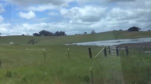 Я в весеннем лесу пил берёзовый сок