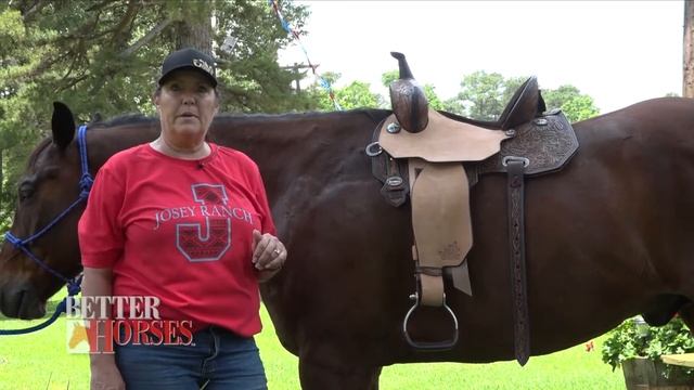 Episode 163 смотреть онлайн