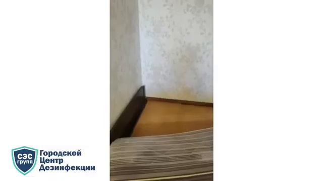 Обработка от клопов в квартире пенсионеров смотреть онлайн