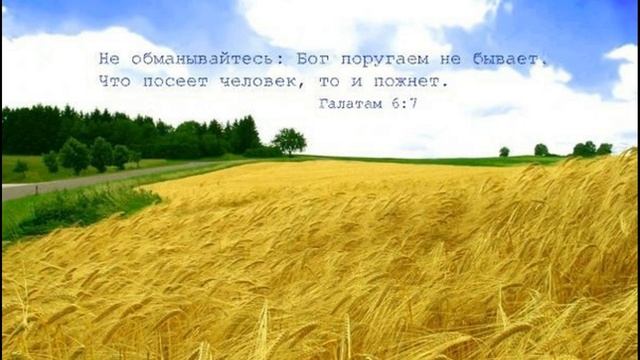 Пророчество 03 2022 Пришло время...Ровенская обл.