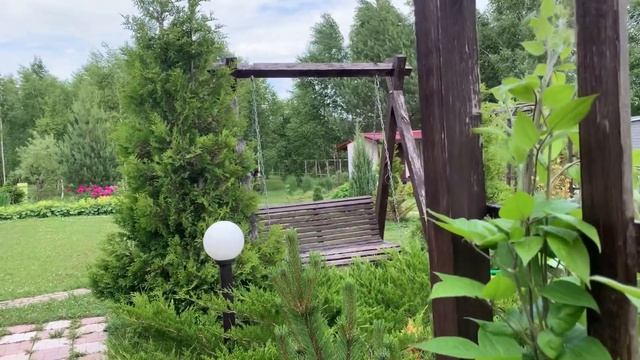 Бобры перекрыли воду. Крупная клубника. Георгины высадила
