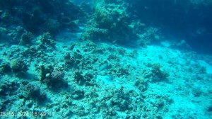 2024_0525_164909_011