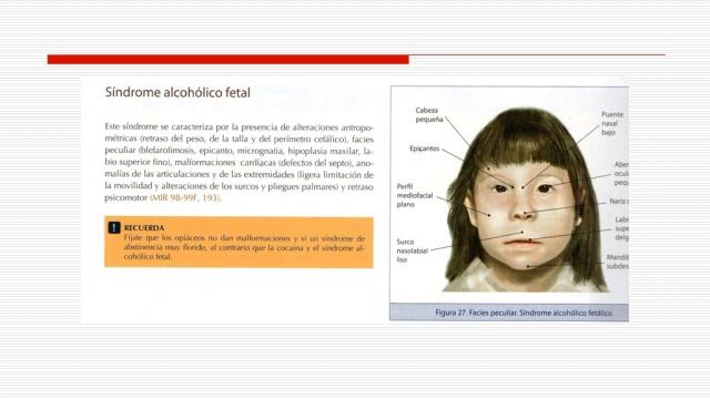 Tmmed pediatría - NEONATOLOGIA 2 D смотреть онлайн