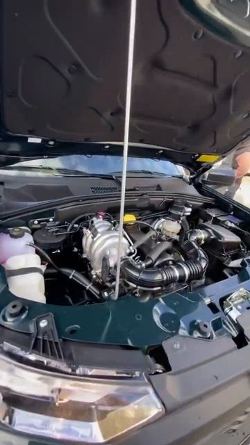 Первый тревел в цвете Несси 🔥 Приехали за ним с г.Кинель осматриваем смотреть онлайн