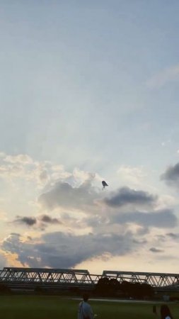 Kites in Japan #kite #japan #indianshorts