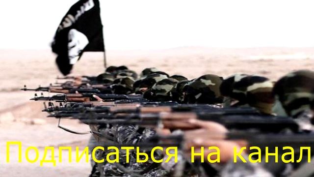 ISIID из США предупреждает, что Сирия может восстановиться