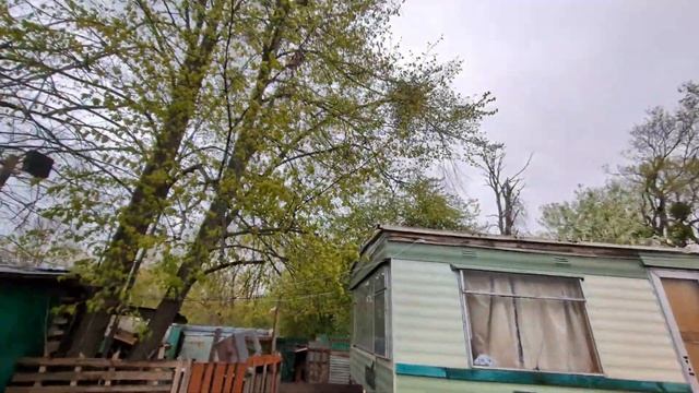 Тяпай зашёл не в тот район смотреть онлайн