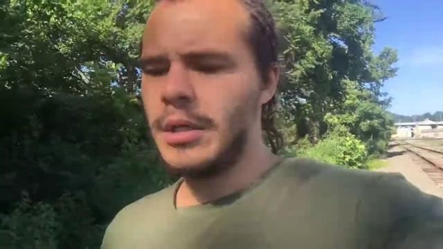 Protocol and plan: Mercury filling/detoxification 2 month update (what to do, no chemicals) смотреть онлайн