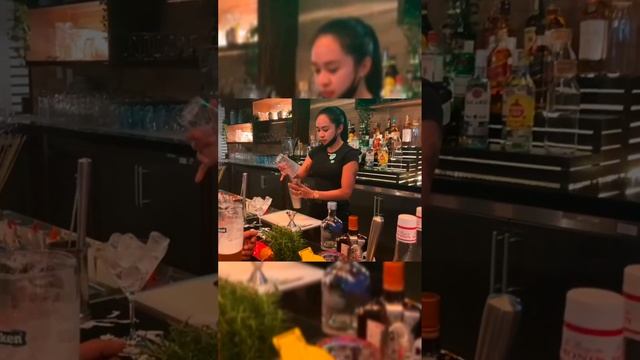 ibis Styles Dubai Deira .bar смотреть онлайн