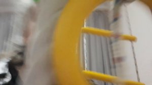 Настя стала ребёнком 24часа