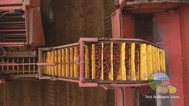 Dick Bedlington Farms смотреть онлайн