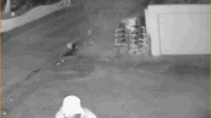 Young boys caught on CCTV camera