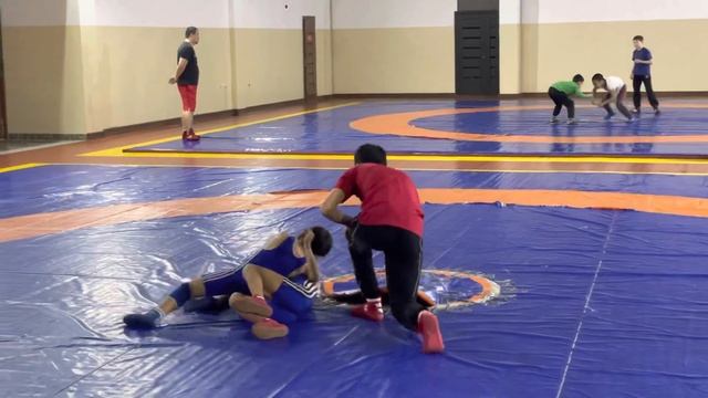 Хбк товарищеский встреча вес 24 кг смотреть онлайн