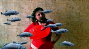 Violet Time - Na Plote