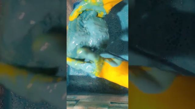 💧💧paste + powder 🧽 sponge squeezing comp #asmrcommunity #waterysqueezes #powderasmr