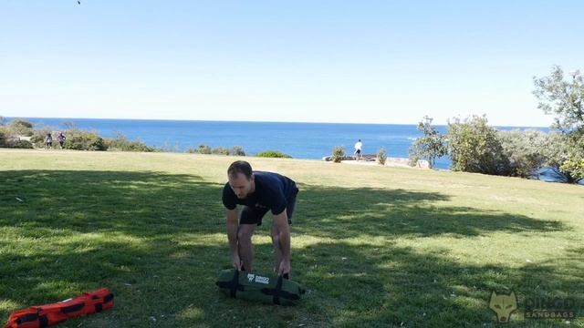 Versatility of the Dingo Sandbags training смотреть онлайн