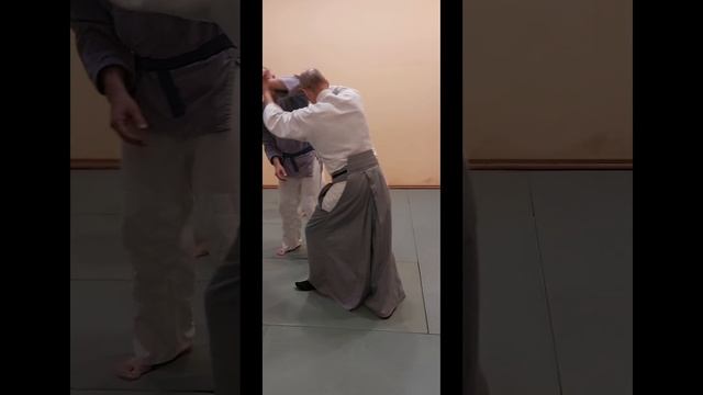А не позаниматься ли нам айкидо 😀
