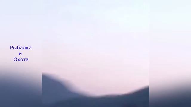 Русская охота Необычные случаи на охоте #3 смотреть онлайн