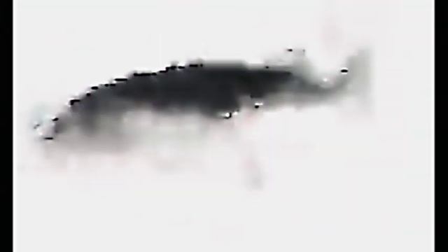 1 час без прерывной рапапапа смотреть онлайн