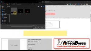 How to make FireAlpaca animation .mp4.