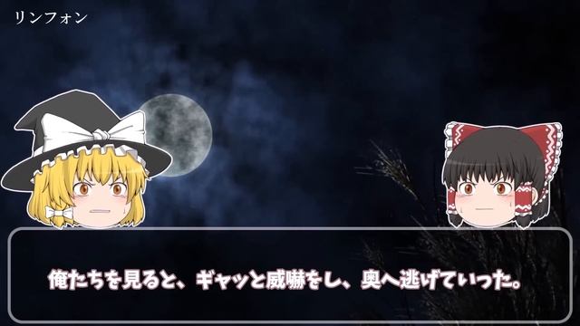 【怖い話総集編2】怖がりの方は絶対見ないで！本気の怖い話総集編12話【閲覧注意】【作業用】【睡眠用】
