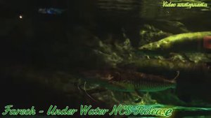 ♫♫♫Классная музыка а машину♫♫♫Fareoh -Under Water NCS Release♫♫♫-Музыка без авторских прав♫♫♫