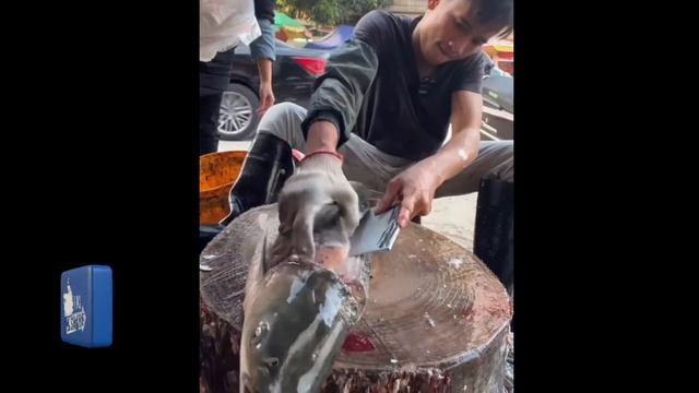 fish cutting - never seen!!! big carp fish cutting live in fish market | fish cutting skills смотреть онлайн