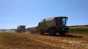 Переезд комбайнов на другое поле