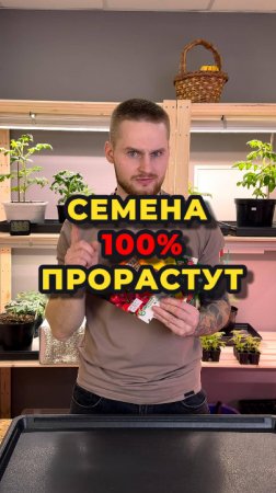 Даже просроченные семена пойдут в рост!