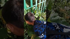 ловля богомолов часть1