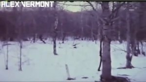 МИЧИГАНСКИЙ ОБОРОТЕНЬ