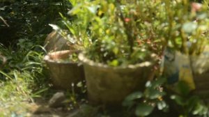 Jupiter 9 f2/85mm lens - Nikon D600