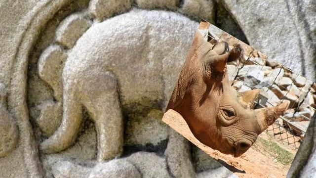 Is this a Stegosaurus? смотреть онлайн