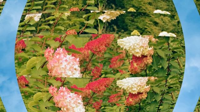 Ботанический сад 2 смотреть онлайн