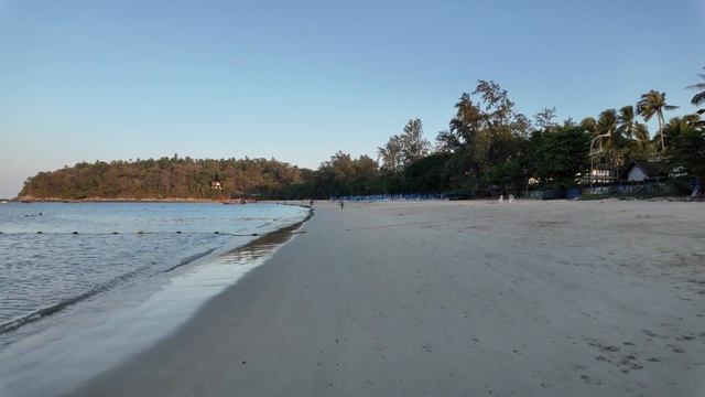 Running and dogs in Phuket смотреть онлайн