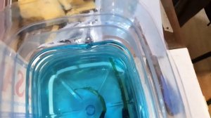 Новые растения! Личинки Рио Нанай! Что с мальками Рубиновых меченосцев. Будни аквариумов!