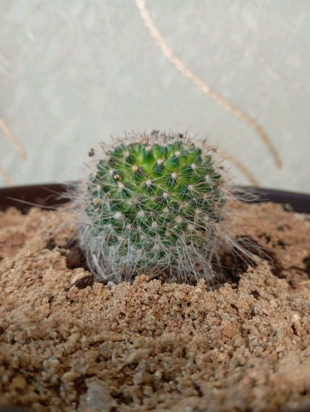 "Легенда RUTUBE"