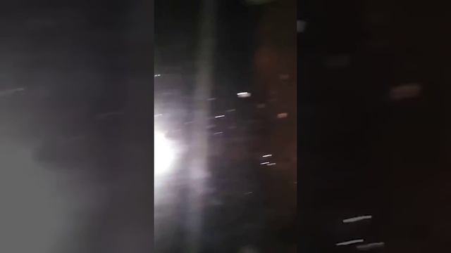 Факты о моём коте смотреть онлайн